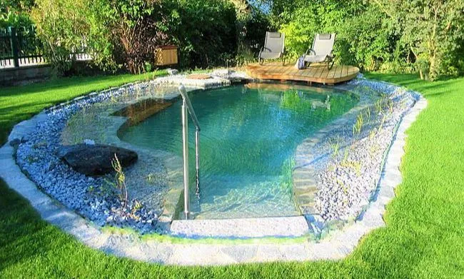 9 tendances 2024 piscines naturelles et écologique